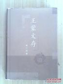 王蒙文存 第十四卷