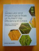 The Molecular and Physiological Basis of Nutrient Use Efficiency in Crops分子在作物养分利用效率的生理基础