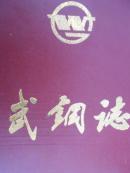武钢志