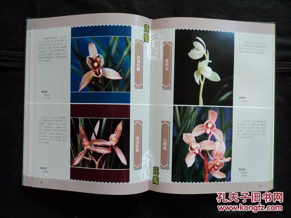 点击查看原图 莲瓣兰精品(精装)