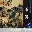 中国画大师经典系列丛书 石涛