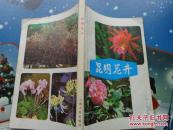 昆明花卉