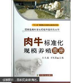 肉牛养殖技术书籍 图解畜禽标准化规模养殖系列丛书：肉牛标准化规模养殖图册