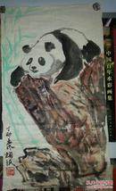 袁颂珉:熊猫