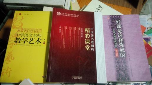 中国著名教师的精彩课堂 初中语文卷