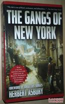 ◇英文原版书 The Gangs of New York: An Informal History of the Underworld