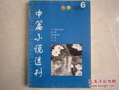 中篇小说选刊 2008年第6期 总第165期