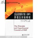 经济管理应用型系列教材:企业资源计划（ERP）原理及实验教程