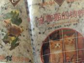 宠物猫的饲养—闲暇丛书