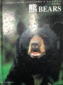 动物世界写真——熊