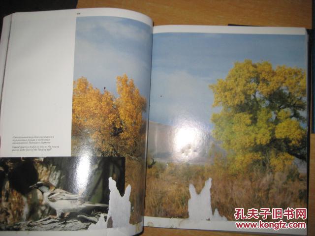 外文原版书：BD  5998