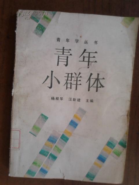 青年小群體（青年學叢書）【館藏】