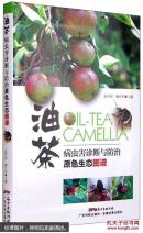 油茶病虫害诊断与防治原色生态图谱