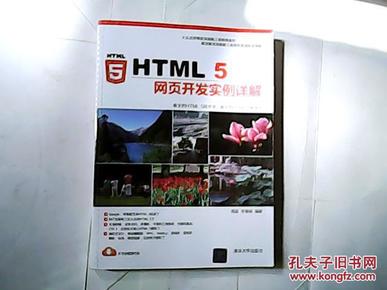 HTML 5网页开发实例详解