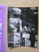 老照片【80年代，大人扶着小孩站在中山陵石狮上】文物石狮请勿攀登牌