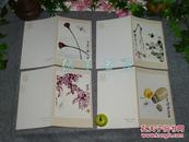 《齐白石工笔草虫》（全套8张 彩色画片 折叠散页）80年代早期版 品好※ [印制典雅精美 可做书签：梨花蝴蝶 玉兰蜜蜂 海棠草虫 -小虾 柳蝉 蝈蝈  蜻蜓  螳螂 //近代国画家水墨画册 带封套]