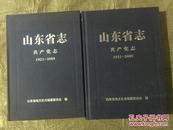 山东省志共产党志1921——2005 （上下册）