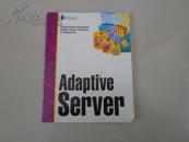 SYBASE Adaptive Sepvep