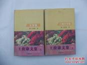 王俊康文集（上下册全）（上册：儿童文学卷 下册：文学卷）作者签名赠送本  精装本