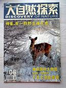 大自然探索2004年第6月号