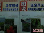 图说温室菜豆、辣椒高效栽培关键技术 （B3）