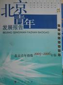 北京青年发展报告--北京青年指数2005-2006年版