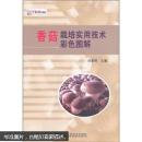 香菇人工种植技术书籍 东北香菇代料栽培技术（视频U盘）+1书