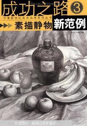 成功之路：素描静物新范例3