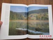 德国原版风光摄影画册《黑森林》 8开精装全彩色精美图版  9.5品 包快递