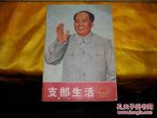 支部生活(革命样板戏画刊)
