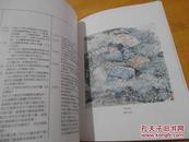 北京六位画家访问澳门联合画展 李观鼎 吴休 官布 岳志澄 杨延文 邓林 仅印五百 官方赠阅印