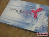 冰雪中的红围巾～湖南卫视2008抗冰全记录