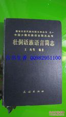 中国少数民族语言简志丛书：壮侗语族语言简志 02