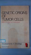 [英文原版]Genetic Origins of Tumor Cells (Developments in Oncology；Vol.1) 肿瘤细胞的遗传起源（肿瘤学的发展;第1卷）