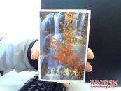 九寨 黄龙 明信片【10张全】