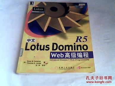 中文Lotus Domino R5 Web高级编程