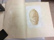 陶瓷选辑(第二辑)58年1印(品见描述)