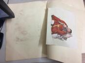 陶瓷选辑(第二辑)58年1印(品见描述)