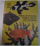 Pacific Marine Fishes, Book 3  （馆藏）