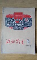 湖北卫生（1973年6期）