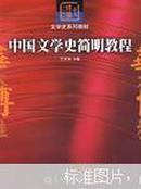 中国文学史简明教程  王齐洲  华中师范大学出版社