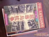 中国：从屈辱走向辉煌1840-1997第一卷下 屈辱与抗争1840-1919