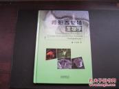 青阳参繁殖生物学