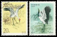 1994-15，鹤（中美联合发行）--全新全套邮票甩卖--实物拍照--永远保真，