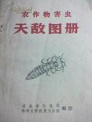 农业文献 农作物害虫天敌图册