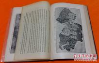 稀见 民国 中华书局  精装本  考古    《斯坦因西域考古记》