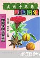 实用中草药原色图谱.二.花类及种子果实类