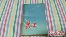红色经典：《冀上》（上下册）1977年一版一印  人民文学出版社出版 一部反映中国人民志愿军战斗生活的长篇小说       馆藏
