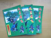 老武侠：九月鹰飞（上中下）