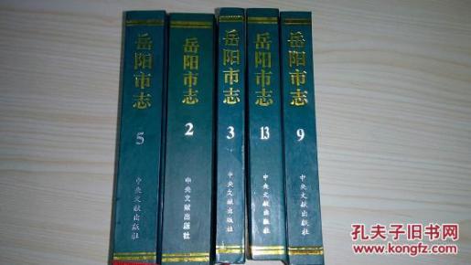 岳阳市志 (5) （含计划管理卷 土地管理卷 物价管理卷 质量技术监督卷 工商行政管理卷 统计管理卷 审计卷 财政卷 金融卷 税务卷）